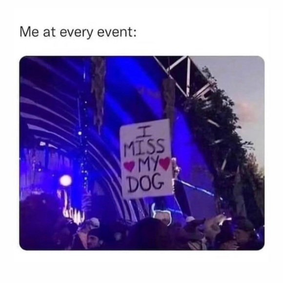 Meet your Posher, Bethy - Picture 4 of 5